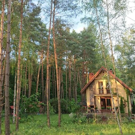 Dom Na Skraju Lasu Villa Wilkasy Exterior foto