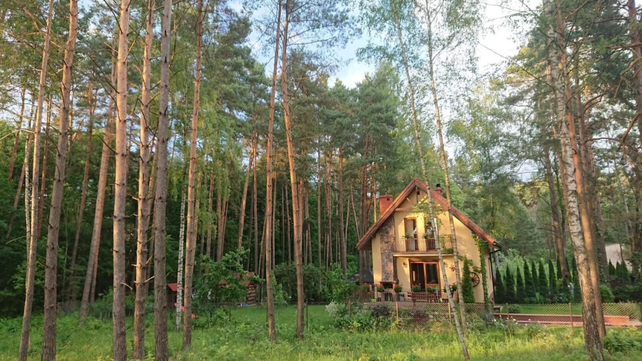 Dom Na Skraju Lasu Villa Wilkasy Exterior foto